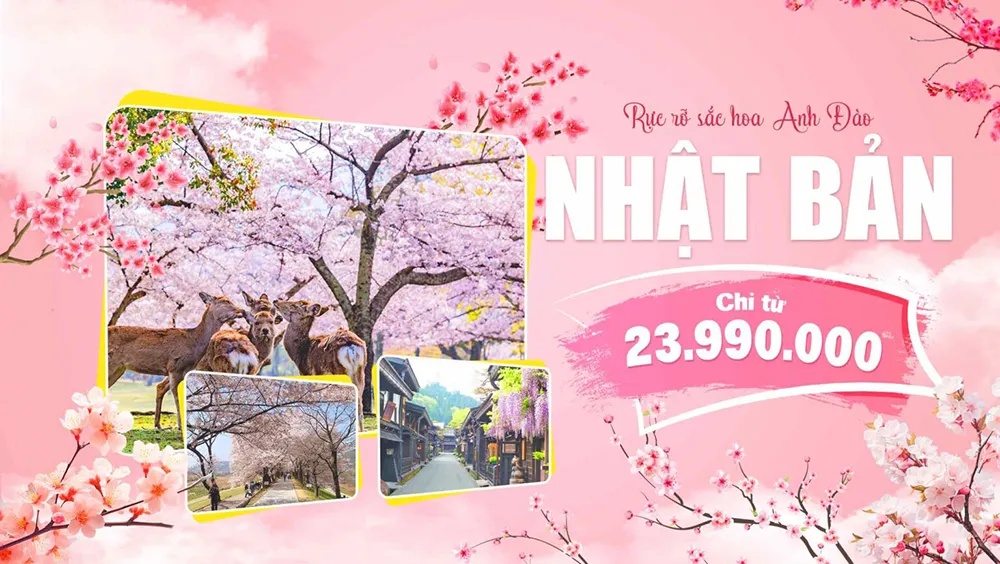 Hình ảnh 0