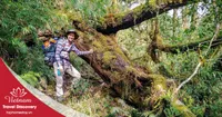 Tour trekking leo núi Pu Ta Leng 3N2Đ