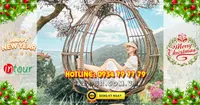 Tour  Đà Lạt 3N2Đ Tết Dương Lịch 2026