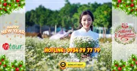 Tour  miền Tây Đồng Tháp - Chùa Lá Sen 2N1Đ Tết Dương Lịch 2026