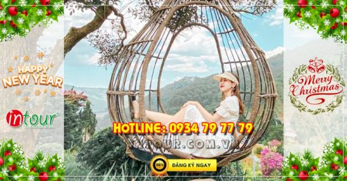 Tour  Đà Lạt 3N2Đ Tết Dương Lịch 2026