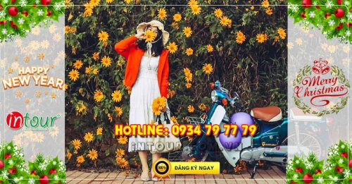 Tour  Đà Lạt 3N3Đ Tết Dương Lịch 2026