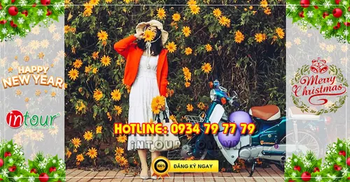 Tour  Đà Lạt 3N3Đ Tết Dương Lịch 2026