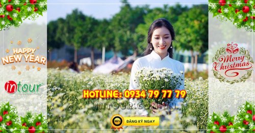 Tour  miền Tây Đồng Tháp - Chùa Lá Sen 2N1Đ Tết Dương Lịch 2026