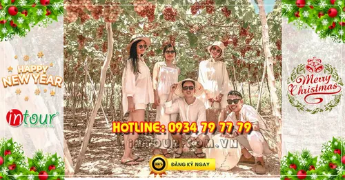 Tour  Ninh Chữ Vĩnh Hy 2N2Đ Tết Dương Lịch 2026