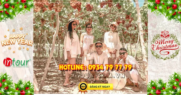Tour  Ninh Chữ Vĩnh Hy 2N2Đ Tết Dương Lịch 2026
