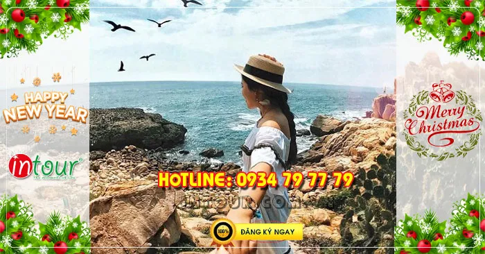 Tour  Ninh Chữ - Vịnh Vĩnh Hy - Đảo Bình Hưng 2N2Đ Tết Dương Lịch 2026